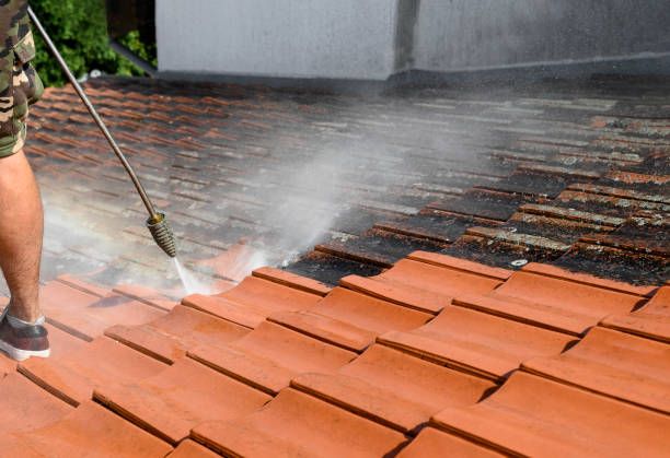 Best Fence Pressure Washing  in Belle Plaine, IA