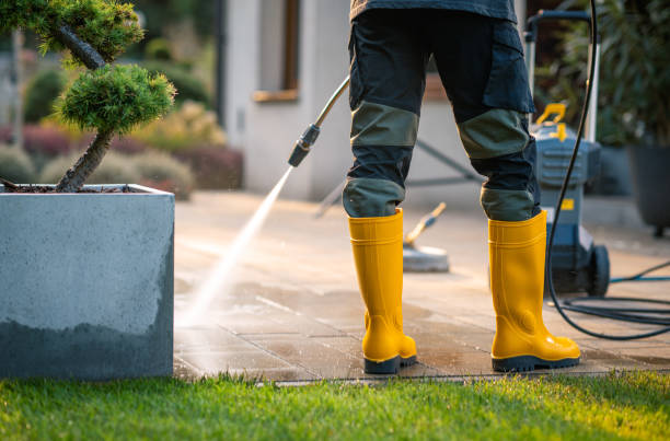 Best Power Washing Near Me  in Belle Plaine, IA